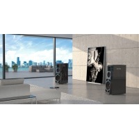 Напольная акустика GOEBEL HIGH END Divin Marquis