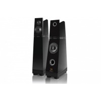 Напольная акустика Verity Audio Parsifal Anniversary
